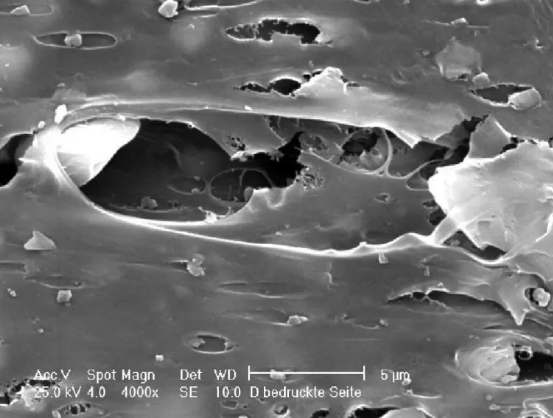Scanning electron micrograph of a breathable film showing pore structure