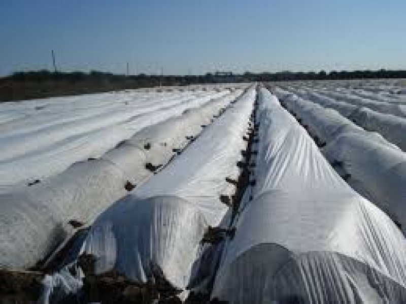 Agrigel frost blanket