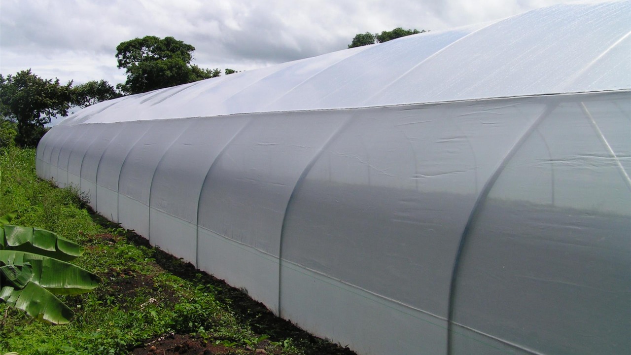 Green house covers , Green House Films